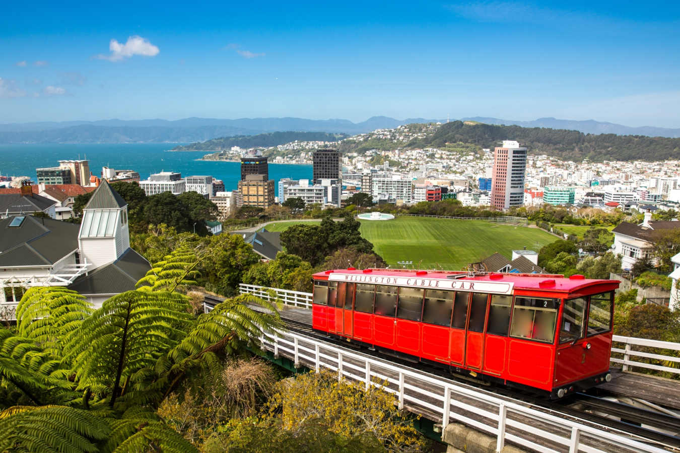 Wellington 