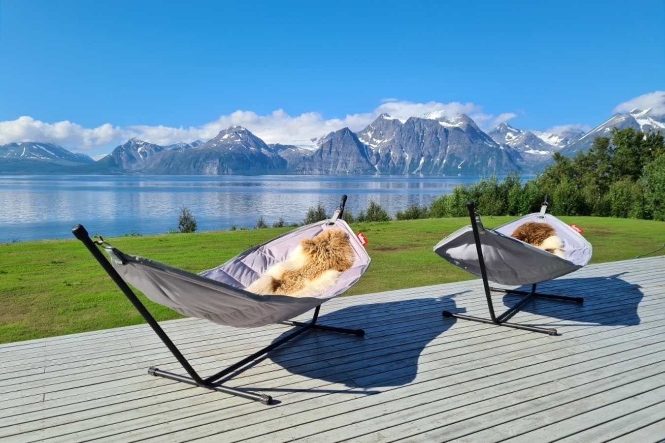 Hammocks 