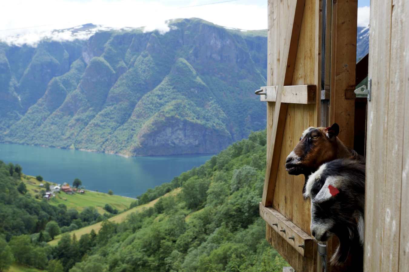 Aurland 