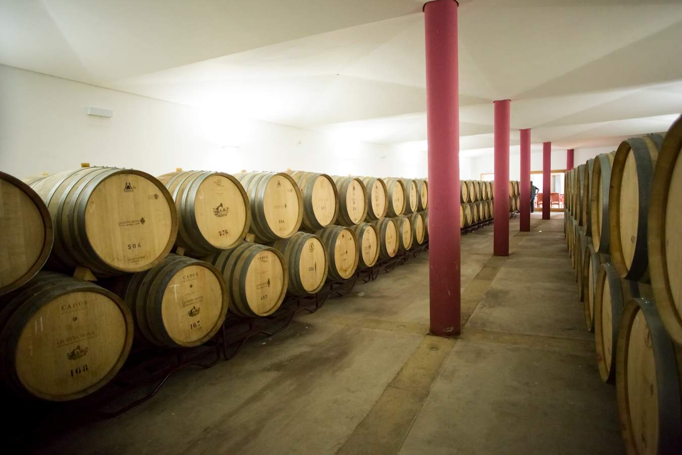 Winery - Quinta Nova