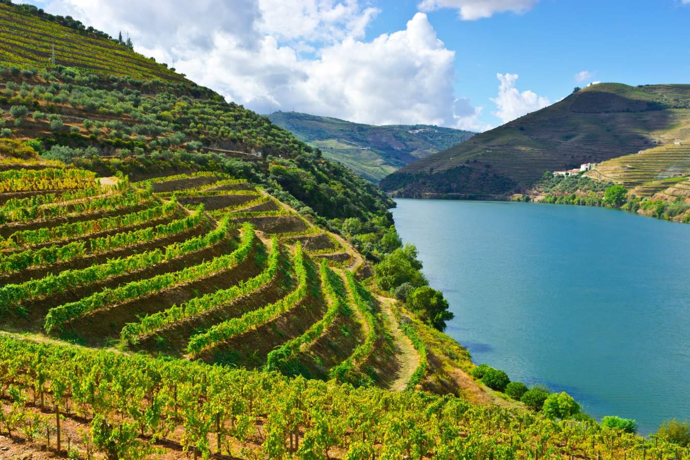 Douro river - Wine Country of Portugal: Porto and the Douro Valley