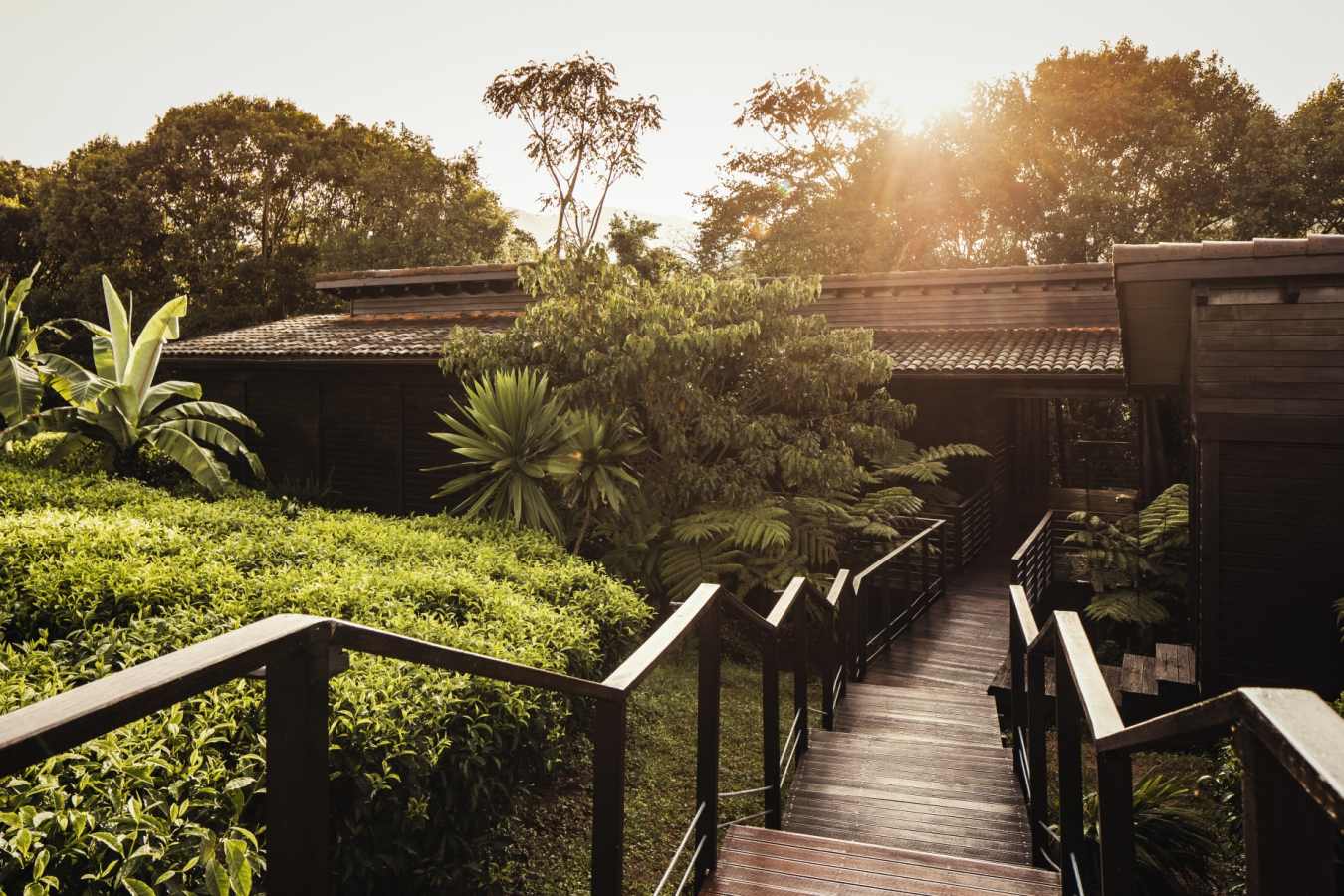 Room Exterior - Nyungwe House