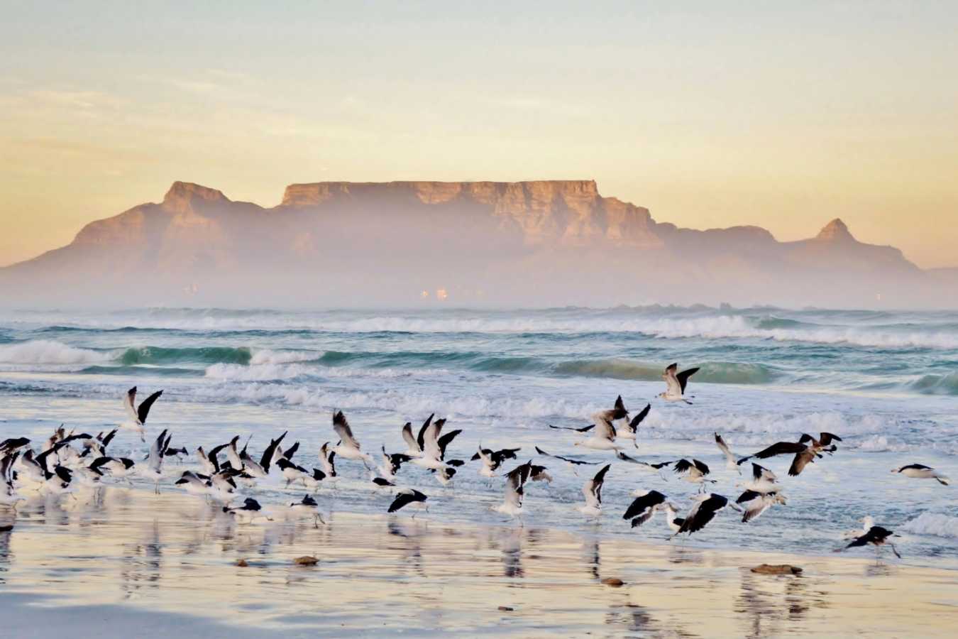 Cape Town - Twin Centre Rwanda and Cape Town