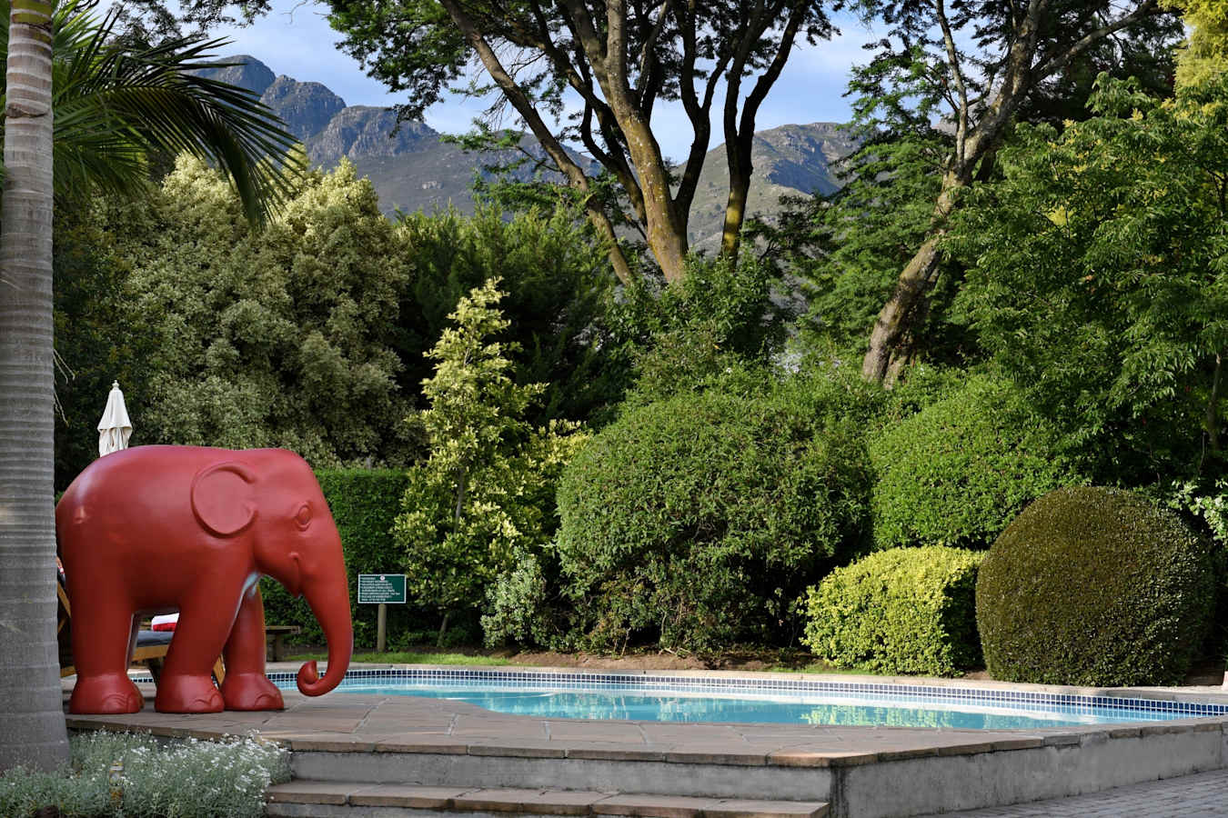 Swimming pool and mountain views 