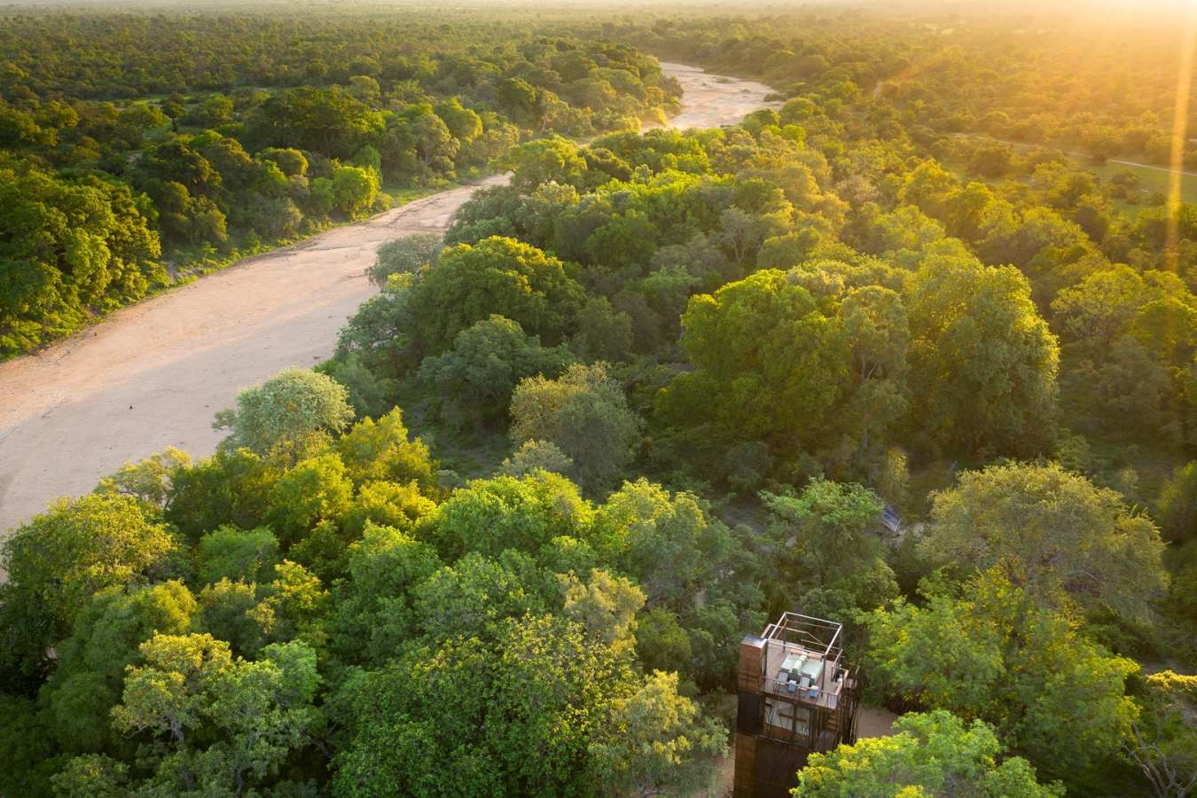 Tree house Timbavati 