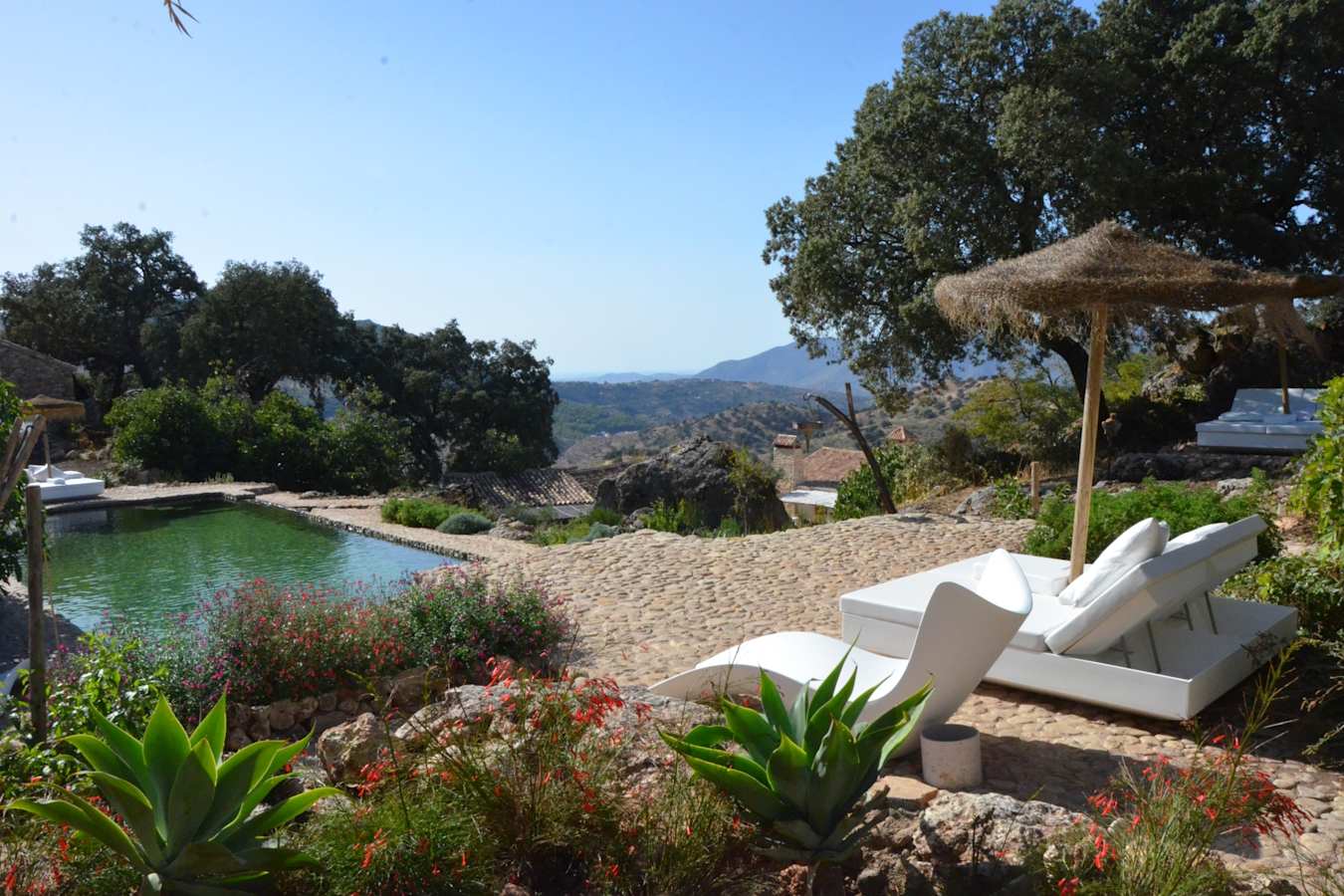 Pool - Finca La Donaira