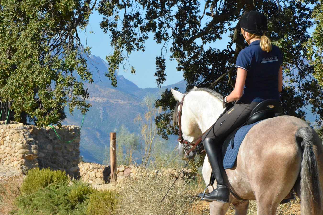 Horse riding - Finca La Donaira