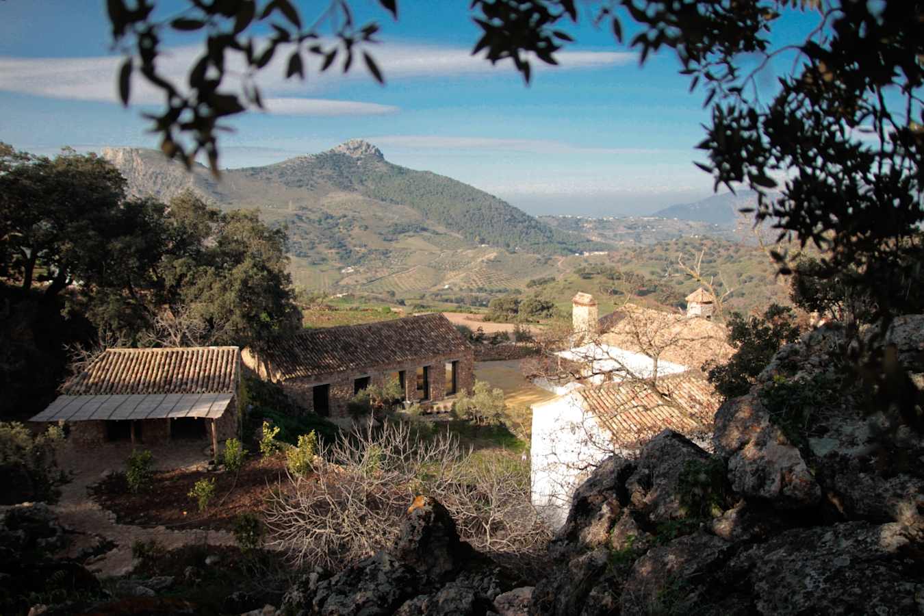 View - Finca La Donaira