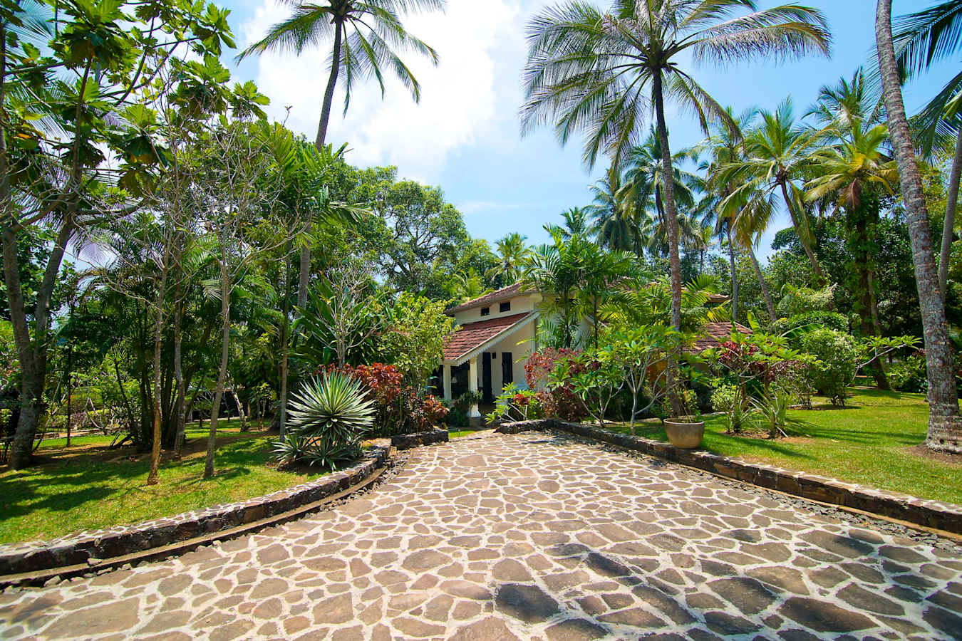 Exteriors - Why House