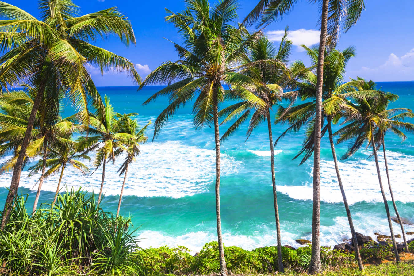 Coastline in Sri Lanka 