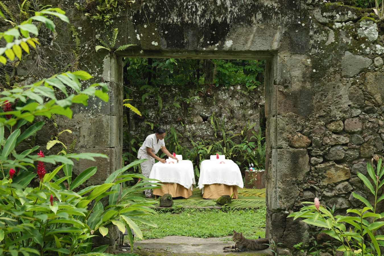Jungle Spa Experience - Anse Chastanet