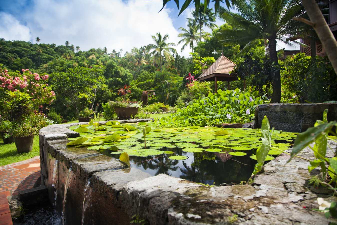 Gardens - Ladera