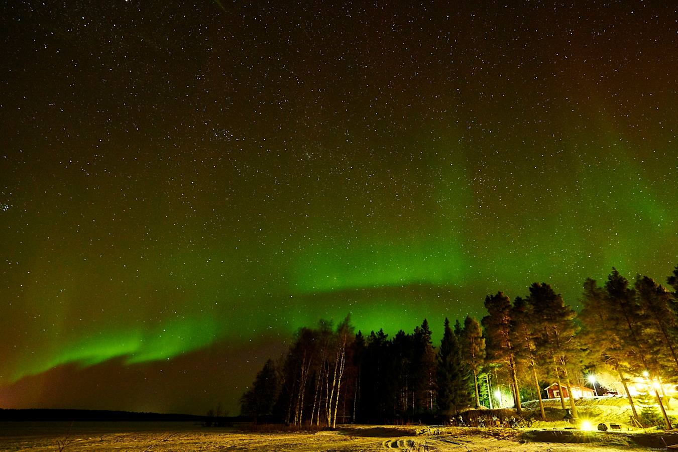 Northern Lights - Pine Bay Lodge