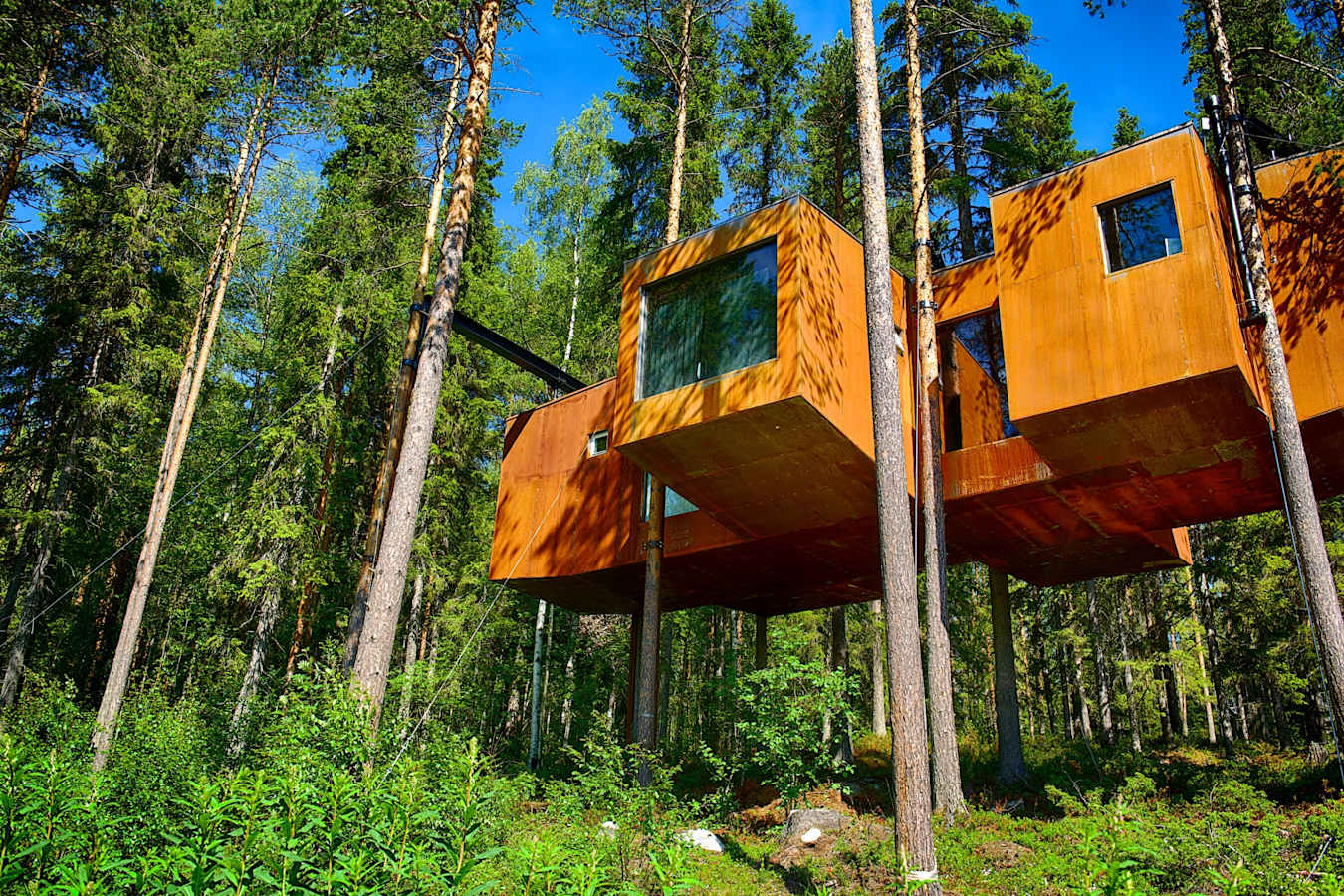 The Dragonfly - Treehotel