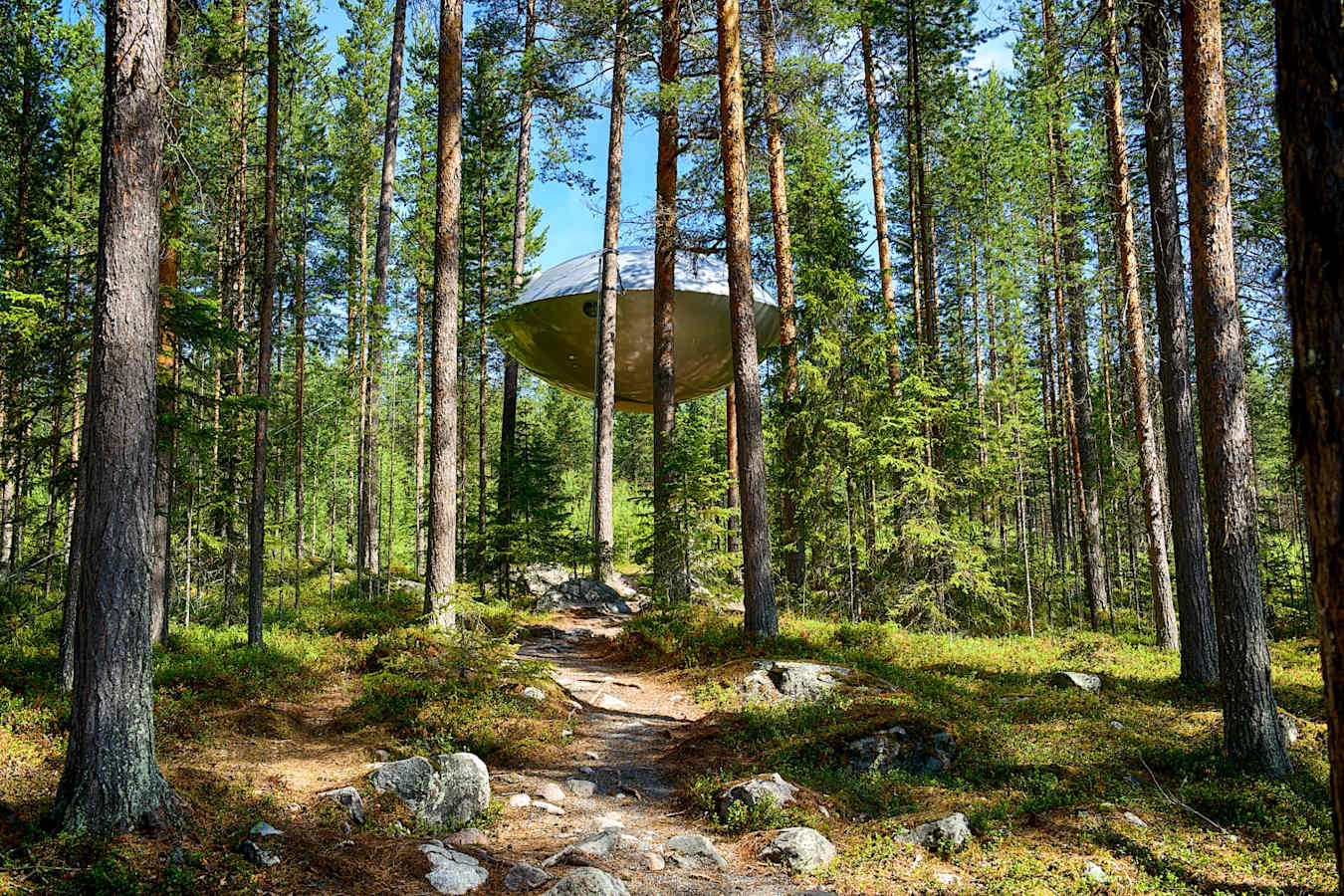 The UFO - Treehotel