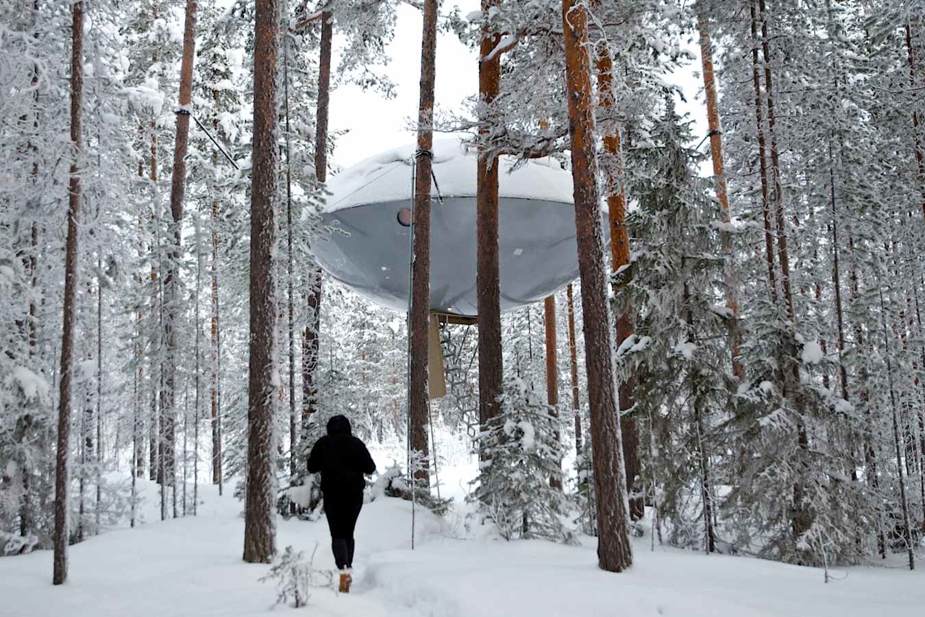 The UFO in the snow - Treehotel