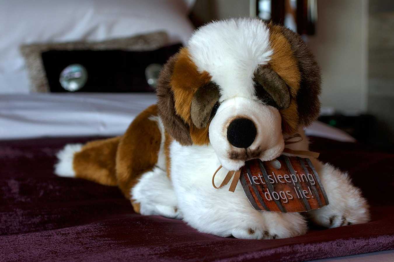 St Bernard - The Lodge Verbier
