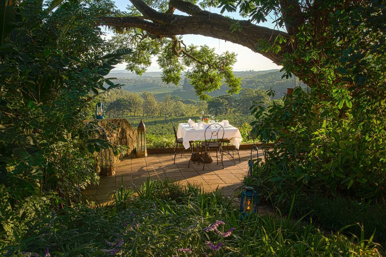 Dining at Gibbs Farm 