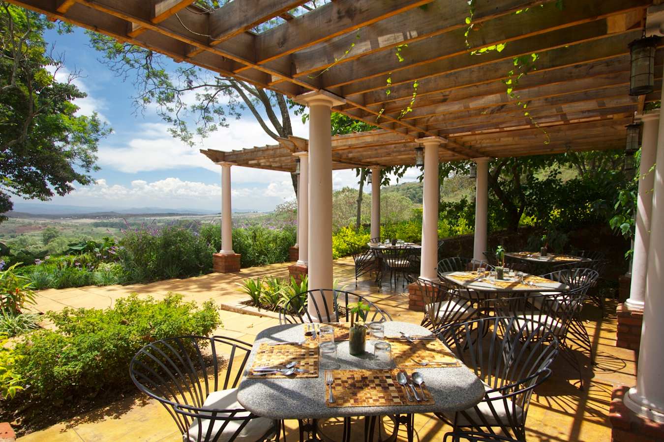 Dining at Gibbs Farm 
