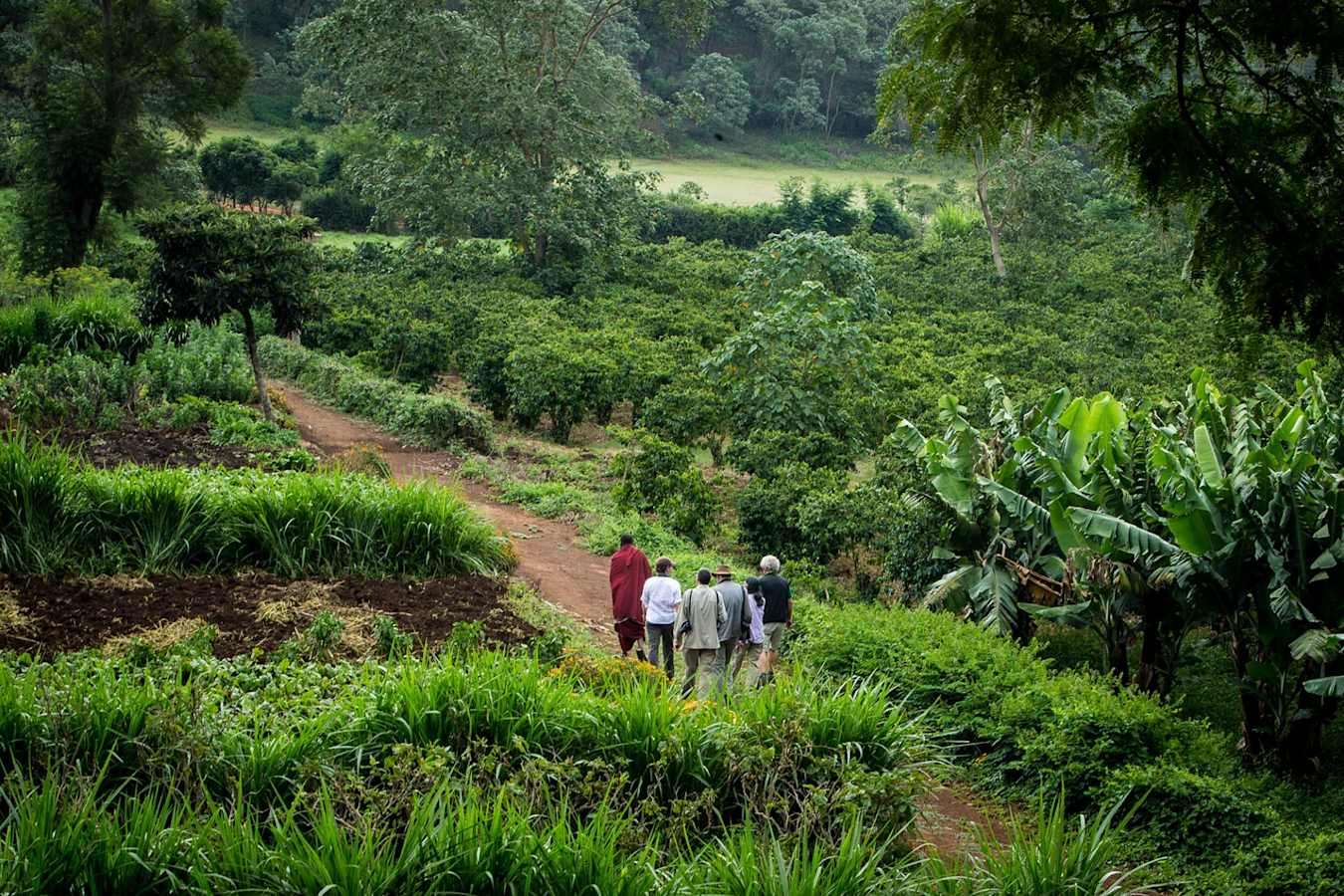 Explore the farm at Gibbs Farm 