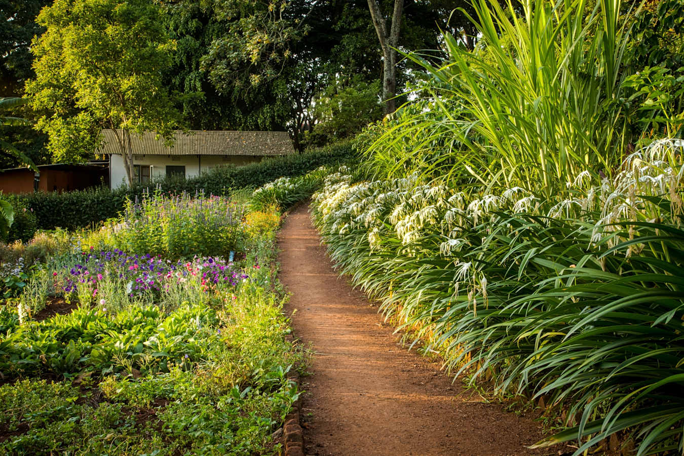 Flower garden at Gibbs Farm 
