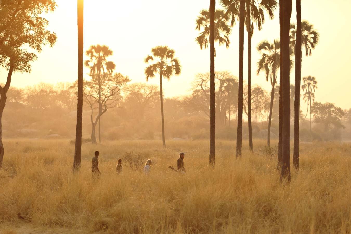 Walking safari - Ikuka Safari Camp 