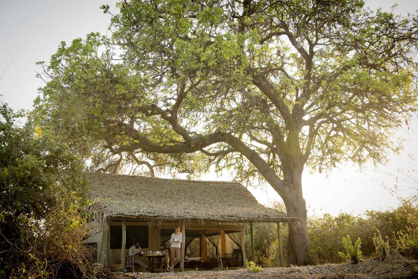 Temt exterior - Kigelia Ruaha