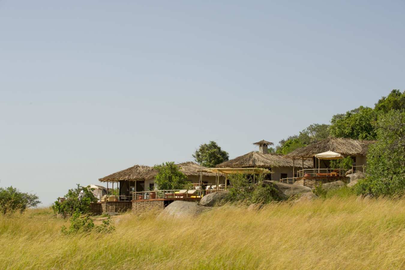 Tucked into the trees - Mkombe's House at Lamai
