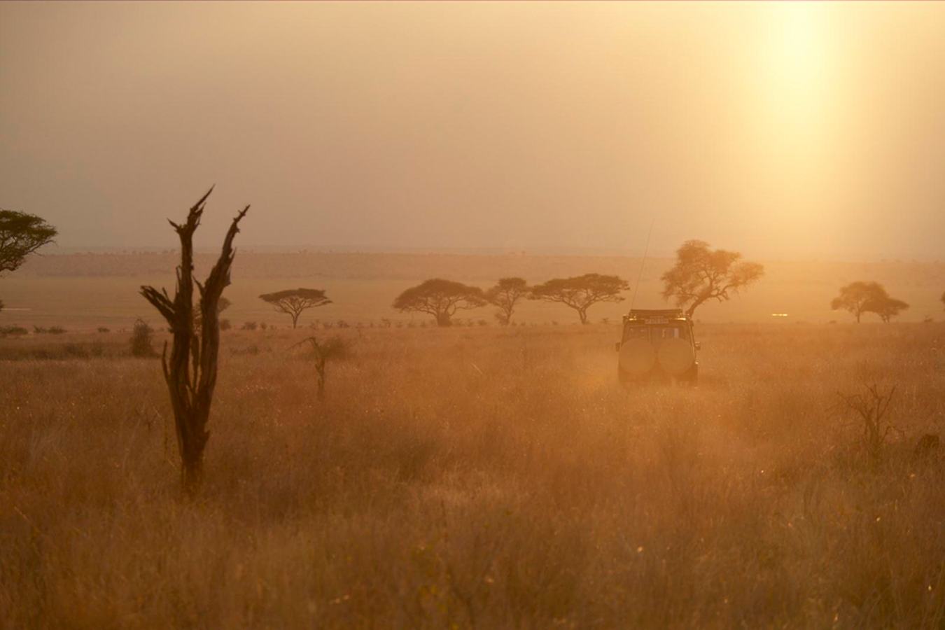 Tarangire Park - Oliver's Camp