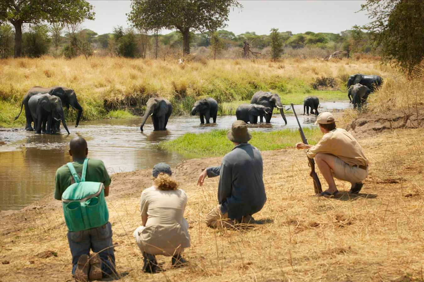 Elephants - Oliver's Camp