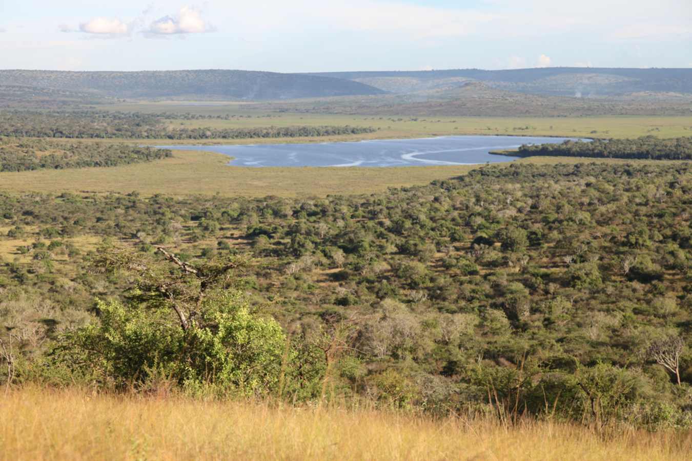 Views over Lake Mburo National Park - Mihingo Lodge