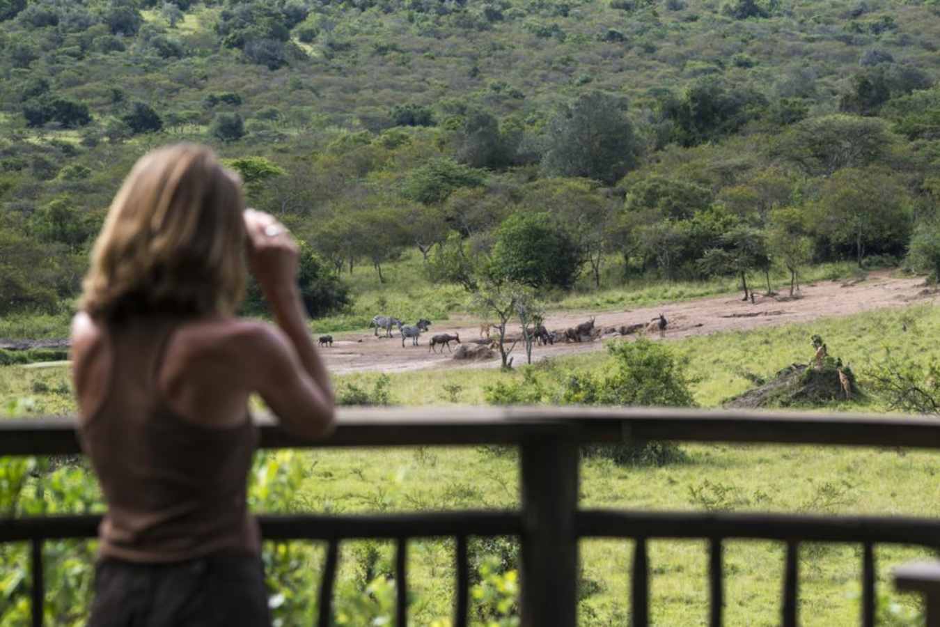 View - Mihingo Lodge