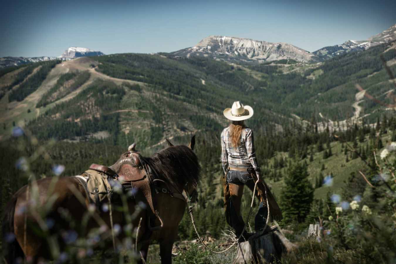Ranch Hand 