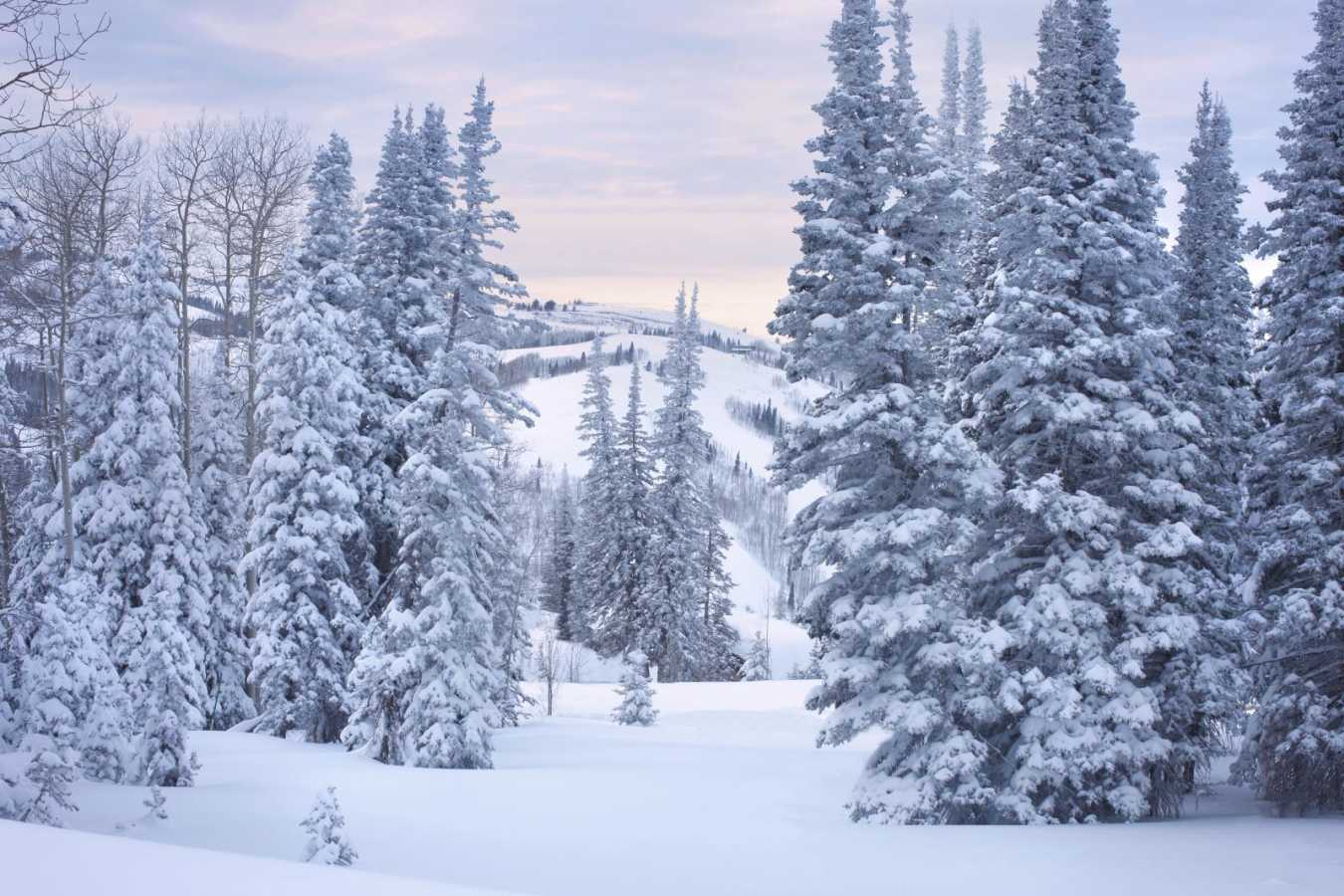 Montage Deer Valley