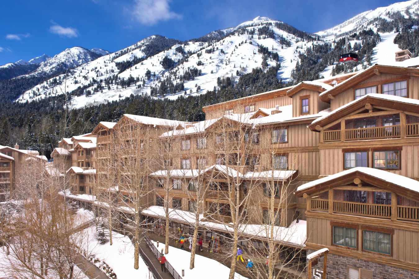 Teton Mountain Lodge  Spa 