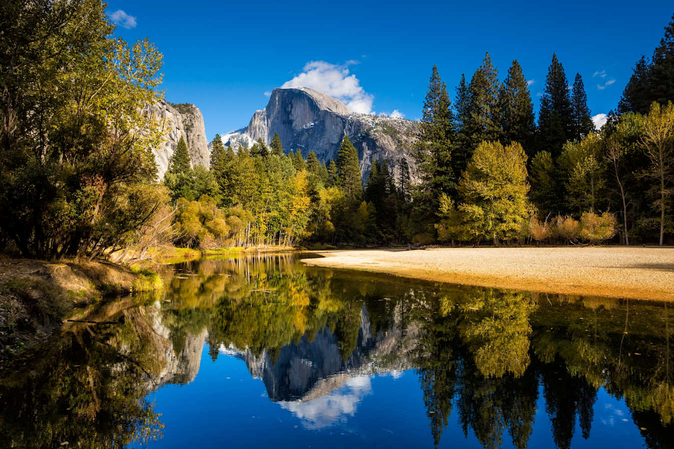 Yosemite scenery - The Redwoods in Yosemite 