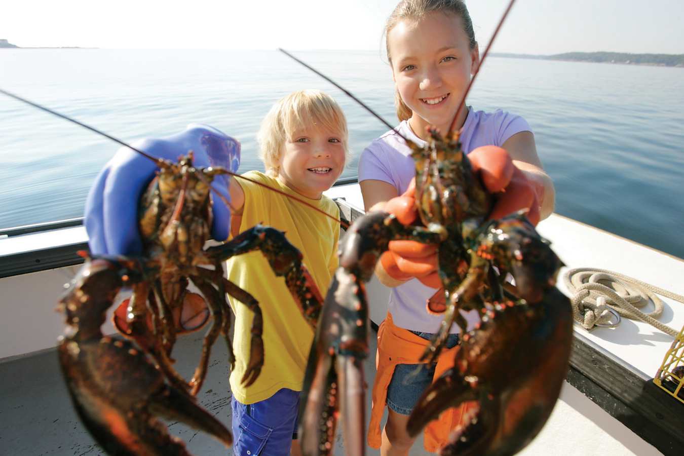 Lobstering - Simply New England Family Summer Holiday 