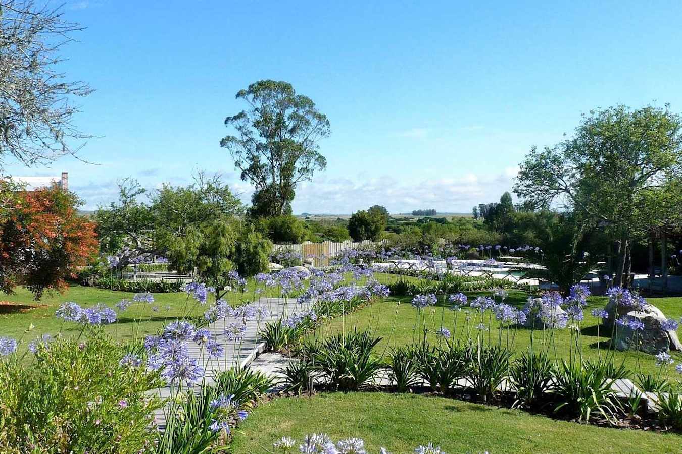 Gardens - Casa Ana