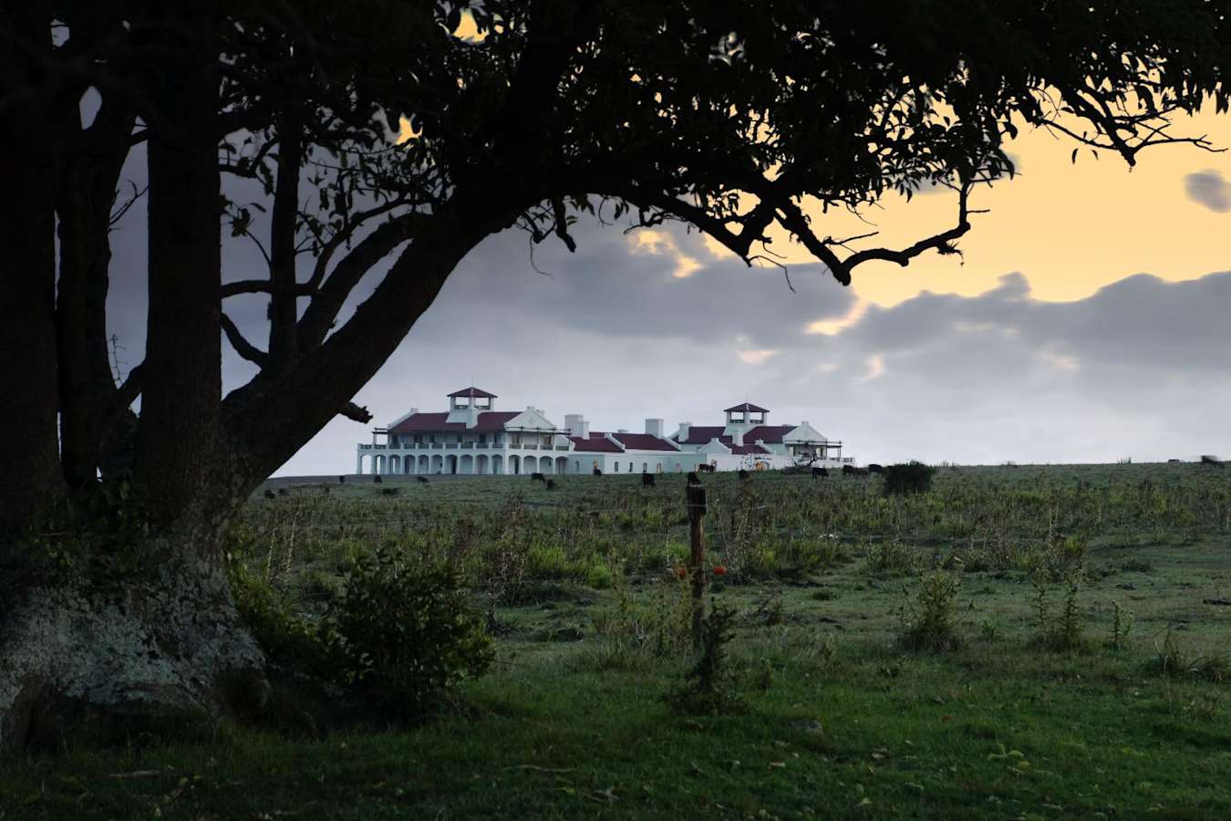 View - Estancia Vik