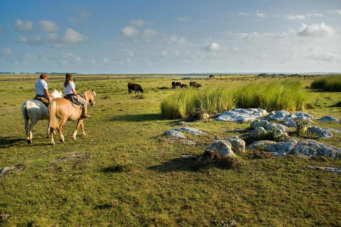 Gauchos - Estancia Vik