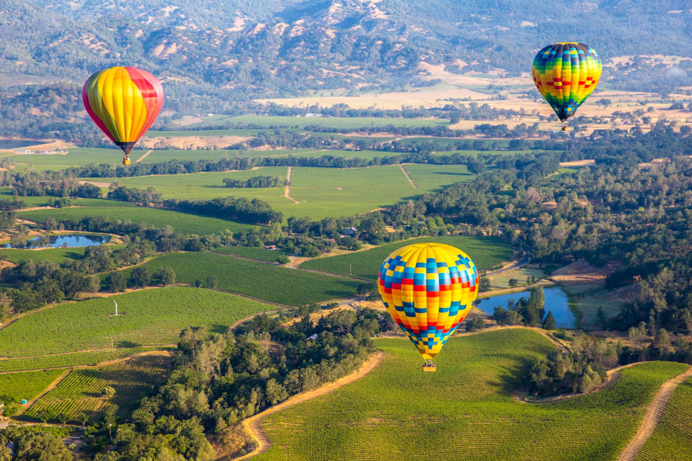 Napa Valley 