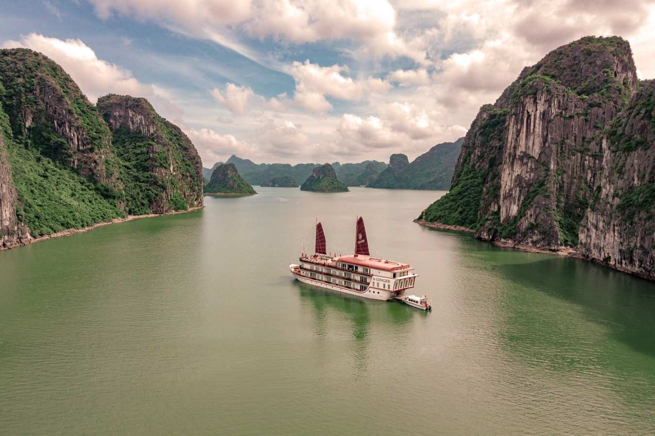 Halong Ginger 