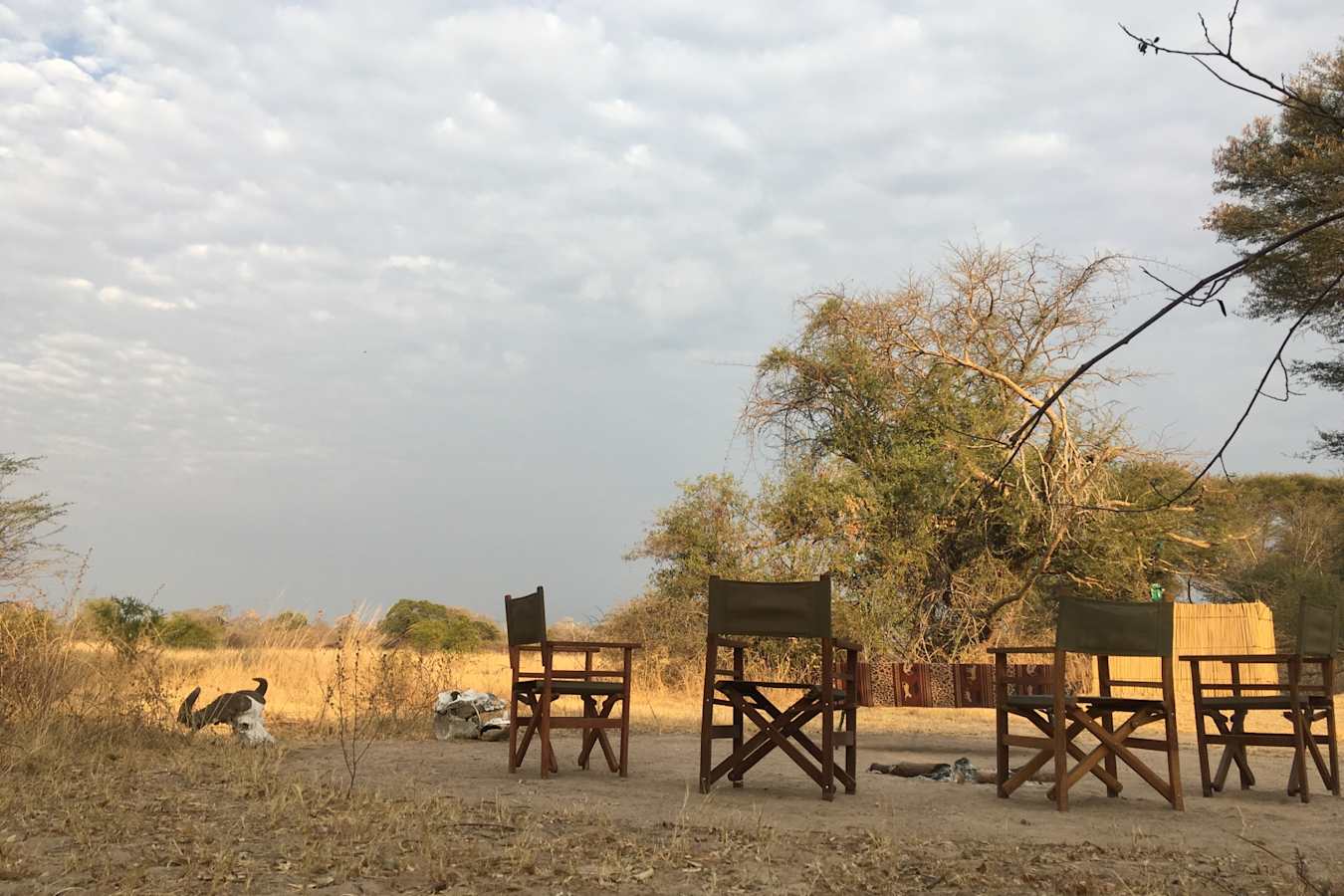 Bush dining - Ntemwa Busanga Camp