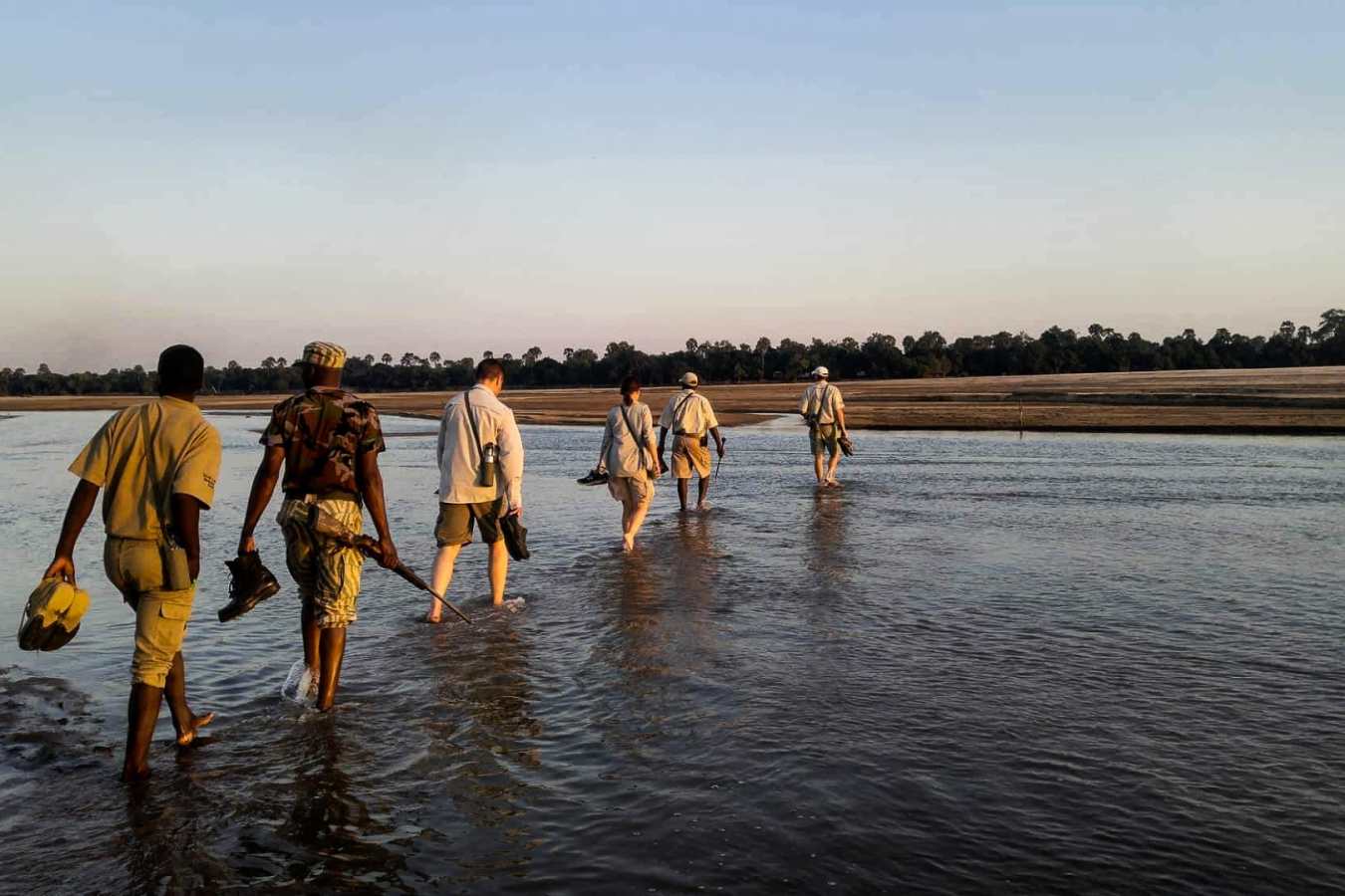 Walking Safari in Luangwa 