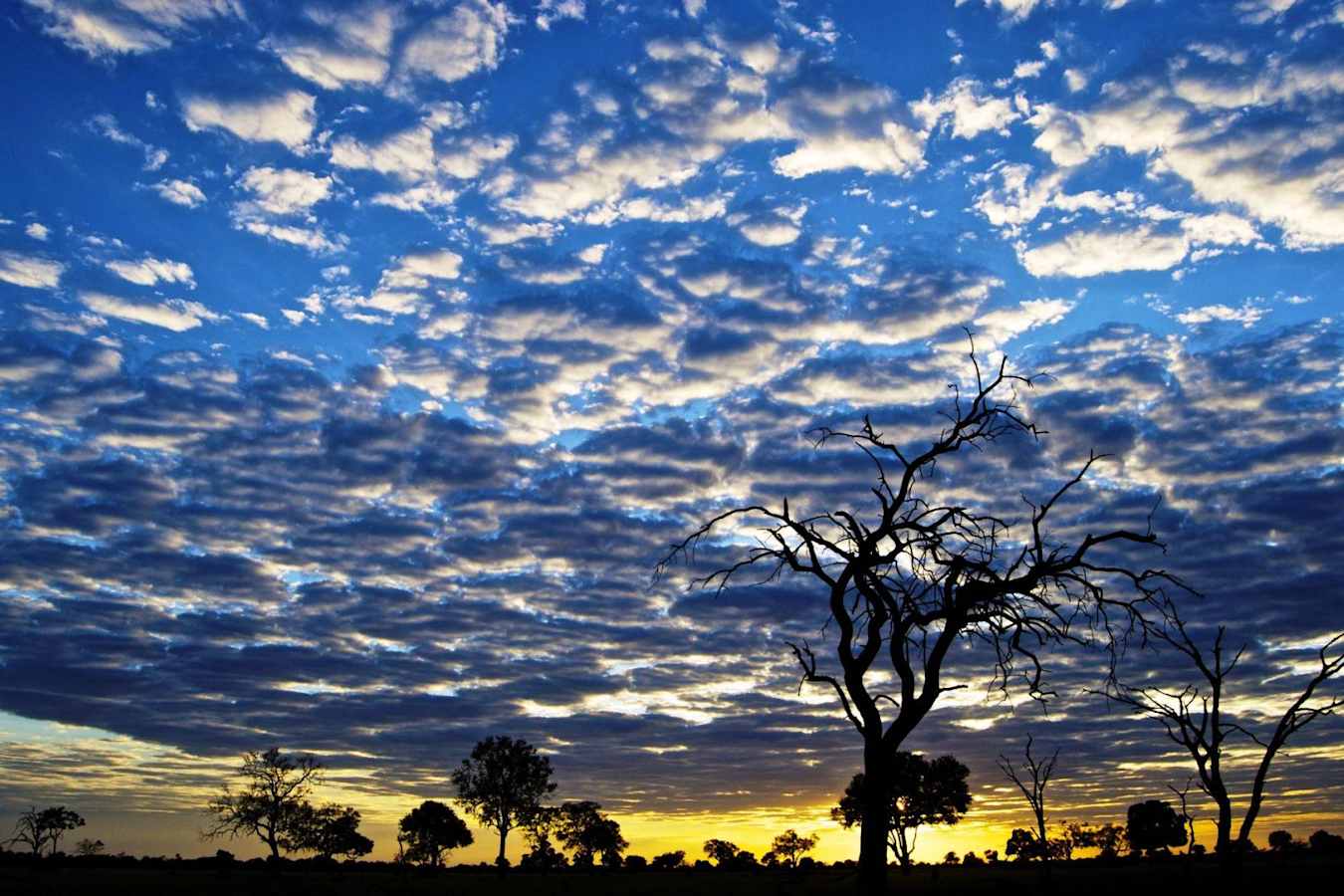 Dawn in Hwange - Bomani Tented Lodge 
