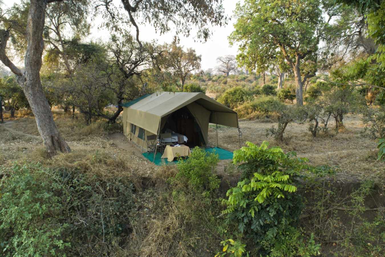 Tent exterior 