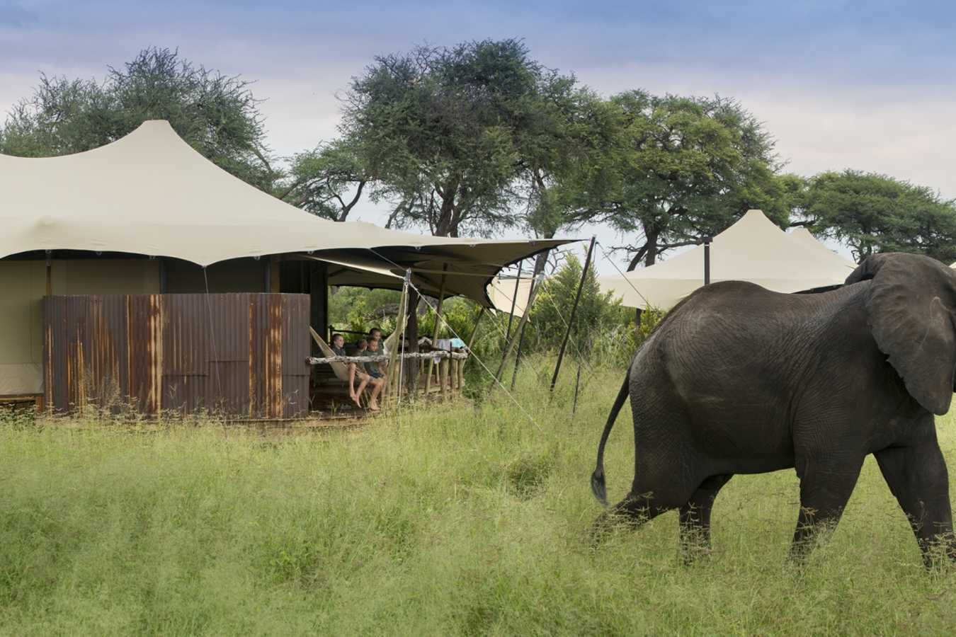 Somalisa Tent - 