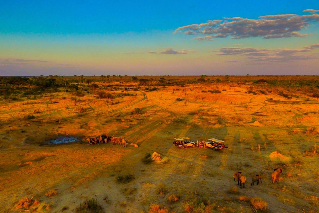 Hwange game drive