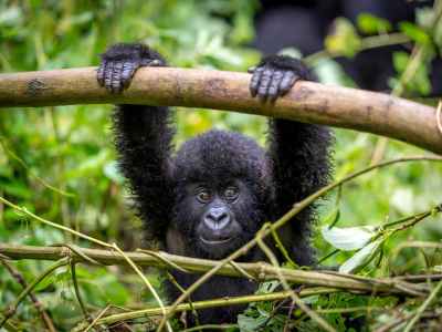 Rwanda