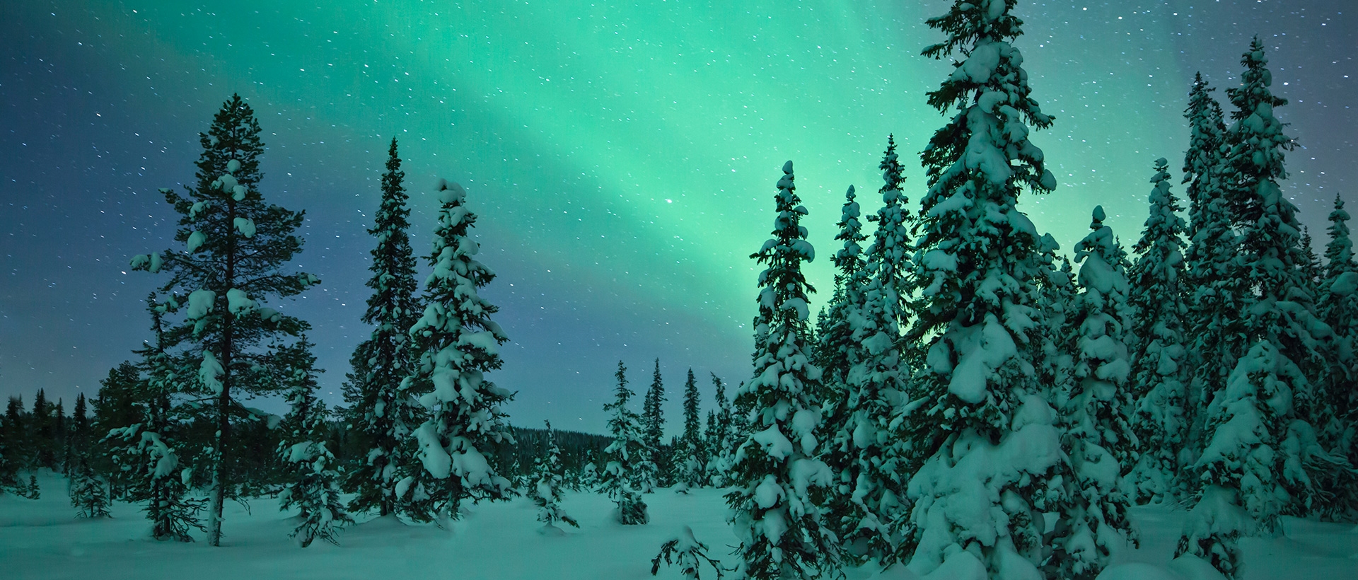  Plan your Sweden trip today